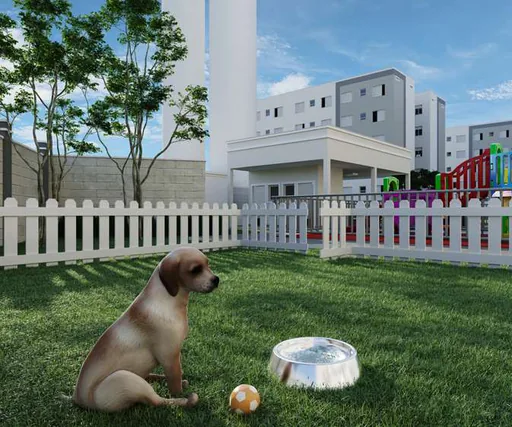 Area pet condominio render