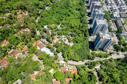 Vista aerea entorno bairro arborizado