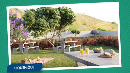 Area piquenique render amenidade