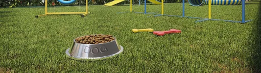 Pet place area dog park amenidade