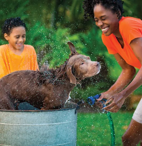 Estilo vida familia pet friendly