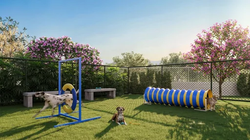 Pet place area amenidade render