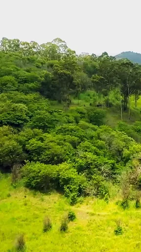 Area verde entorno natureza