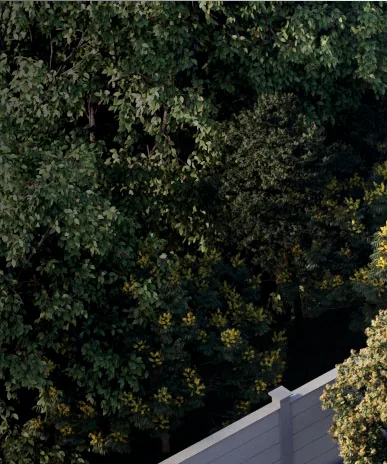 Jacaranda arvores entorno empreendimento